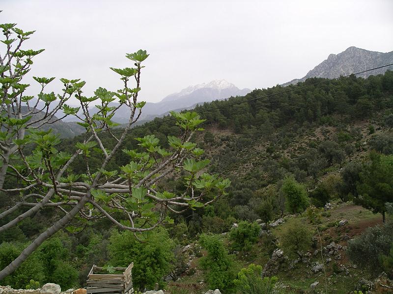 turkije2005 159.jpg